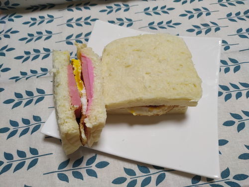 自制三明治的做法大全早餐(自制三明治的做法大全早餐图片)