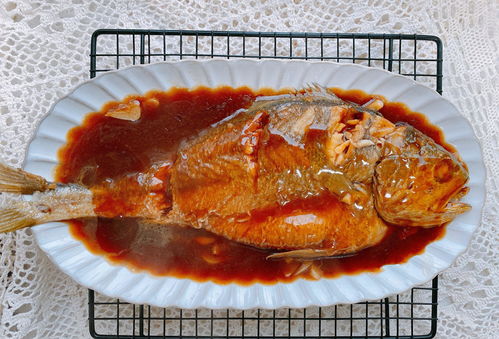 红烧海鲈鱼的家常做法(红烧海鲈鱼窍门)