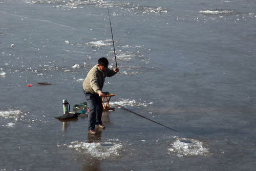 冬季钓鱼技巧和方法（冬季钓鱼要牢记这四点）