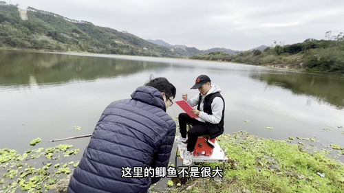 万峰湖钓鱼视频野钓直播视频（2020万峰湖钓鱼视频）