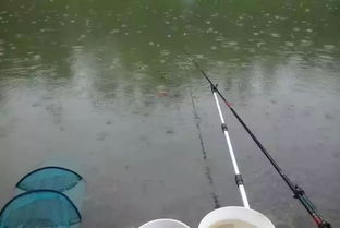 夏季钓鱼技巧视频（夏季钓鱼技巧大全问答）