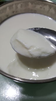 家庭自制酸奶的做法(纯牛奶怎么做酸奶最简单的方法)