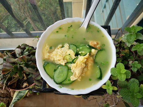 黄瓜汤最简单的做法-黄瓜做汤怎么做好吃