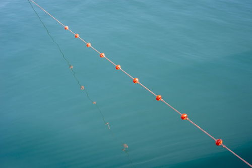 传统钓鱼竿一般需要买多少米-传统钓鱼竿一般需要买多少米长的