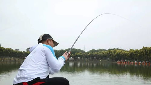 关于四季钓鱼技巧一点通的信息