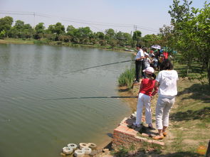 夏季钓鱼的技巧和方法-夏天钓鱼技巧大全钓鱼视频