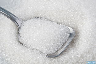白糖的功效与作用-白糖参的功效与作用