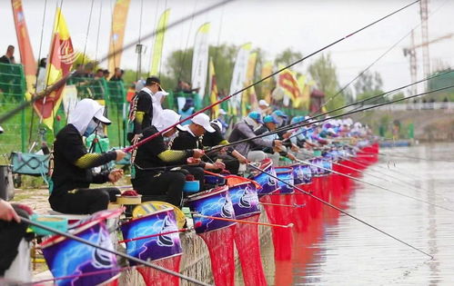 北京钓鱼达人视频-北京钓鱼第一高手是谁