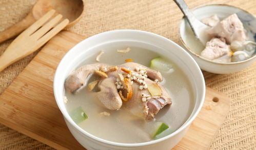 炖鸽子汤的做法大全-人参炖鸽子汤的做法