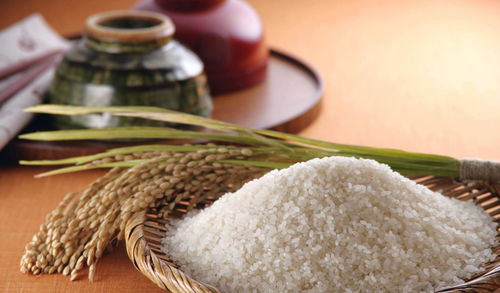 粳米和大米的区别-籼米读音粳米和大米的区别
