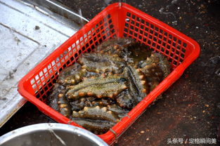 梭子蟹怎么保存才新鲜-梭子蟹死了能不能吃了