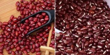 红豆与赤小豆的区别-红豆与赤小豆哪个祛湿效果好
