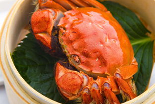 怎样吃螃蟹的正确方法-新手怎么吃螃蟹?今天教给大家吃法,这样减少浪费哟!