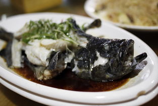为什么不建议吃石斑鱼-为什么不建议吃石斑鱼 脂肪