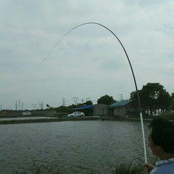 上海钓鱼的地方-上海钓鱼的地方 收费