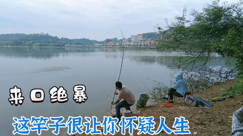 上海哪个水库可以钓鱼-上海附近的水库