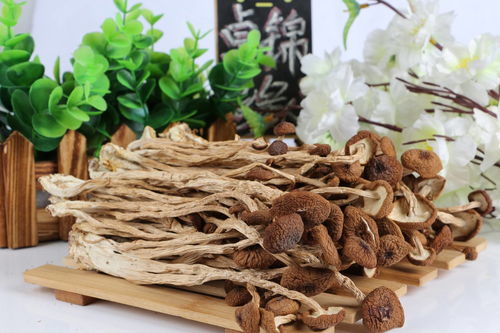 茶树菇的功效与禁忌-茶树菇的功效与禁忌有湿气可以吃吗