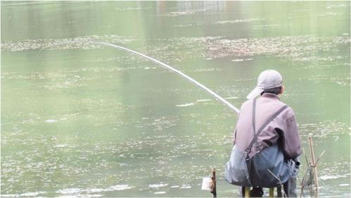 雨天钓鱼技巧-雨天钓鱼需要注意什么