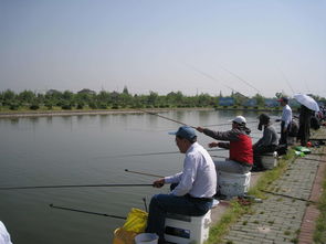 上海钓鱼规定-上海钓鱼规定2022