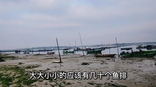 惠州海钓地点推荐-惠州海边钓鱼的地方
