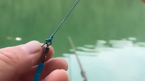 鱼漂怎么绑在鱼线上面视频-鱼漂怎么绑在鱼竿上图