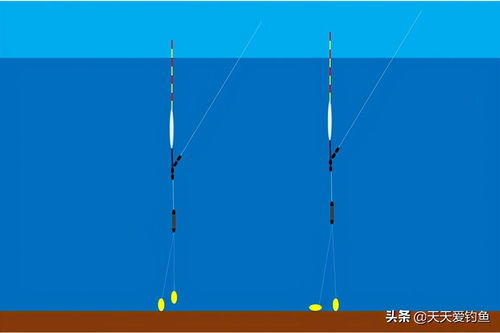 钓鱼调漂全过程详细图解-钓鱼调漂最简单方法 图示