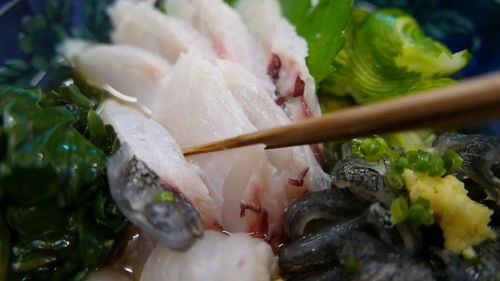 红石斑鱼为什么便宜-红石斑价格是多少钱一斤
