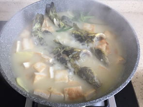 昂刺鱼汤的做法大全-昂刺鱼汤怎么做好吃好喝