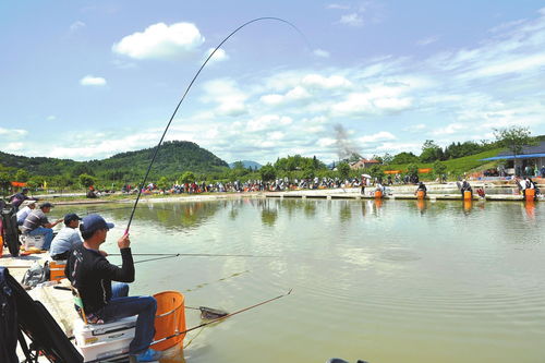 中国钓鱼频道钓鱼网-钓鱼网怎么钓鱼
