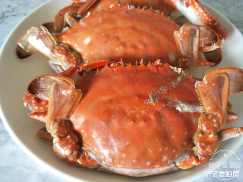 螃蟹怎么做好吃又简单蒸几分钟-螃蟹怎么做好吃又简单螃蟹怎么蒸