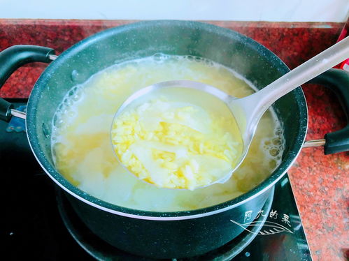 沙白汤的做法大全-沙白汤的做法大全视频