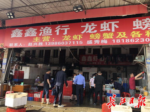 武汉最大的渔具批发市场-武汉最大的渔具市场在哪里