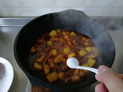 土豆烧肉-土豆烧肉要烧多长时间