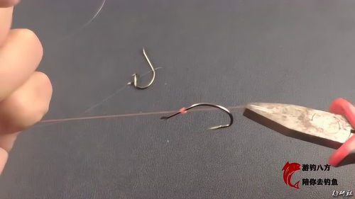 绑鱼钩子线的方法图解,怎样绑扎鱼钩子线
