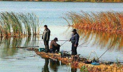东北秋季钓鱼技巧,东北秋天钓鱼的最佳时间是什么时候