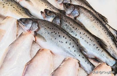 野生海鲈鱼100块一斤,海鲈鱼多少钱一斤市场价2023