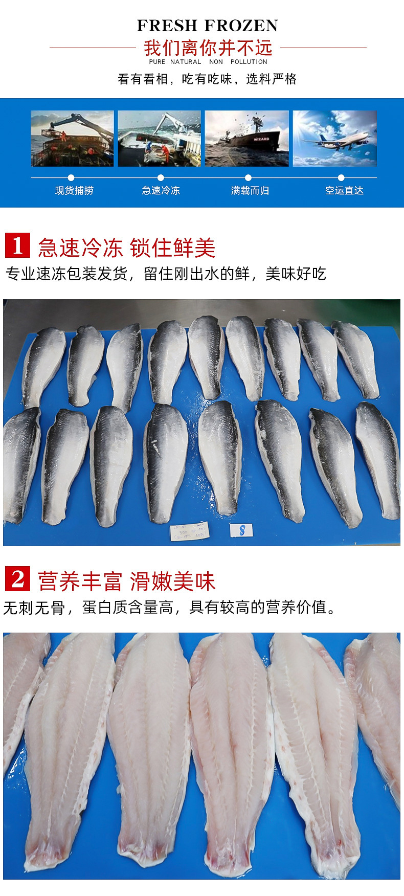 龙利鱼和巴沙鱼的区别,龙利鱼和巴沙鱼的区别图片