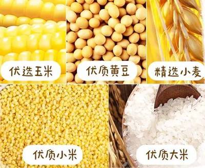 单独玉米粉能做什么,中医警告玉米要少吃