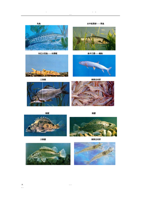 淡水鱼品种大全,淡水鱼品种大全及图片