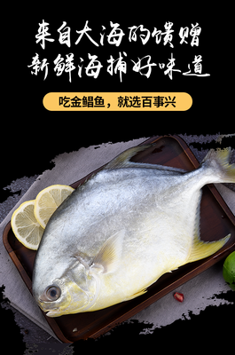 银鲳鱼,银鲳鱼多少钱一斤市场价2023