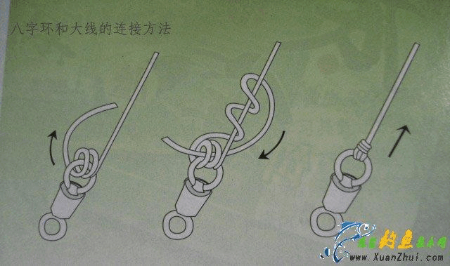 双鱼钩与八字环的绑法,双钓鱼钩与八字环如何连接?