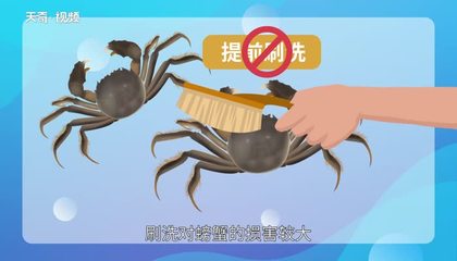 大闸蟹的几种保存方法,大闸蟹保存方法保鲜