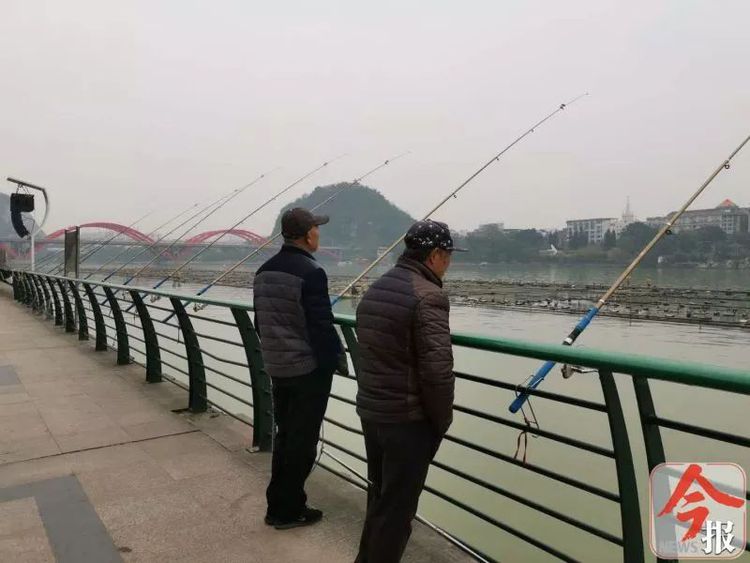 柳州钓鱼论坛,柳州钓鱼网