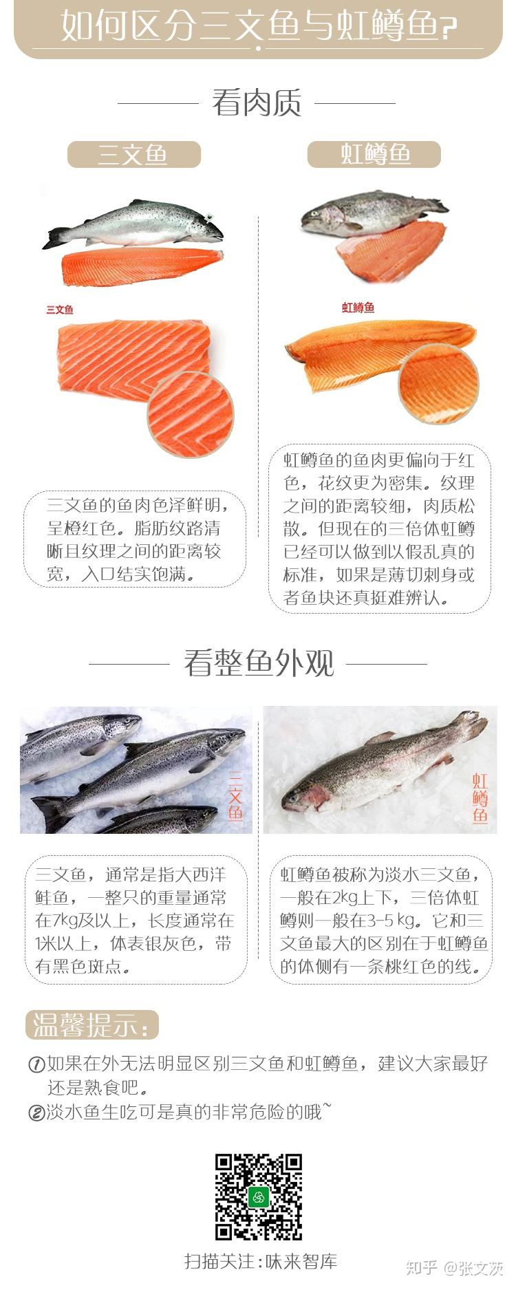 虹鳟鱼和三文鱼的区别,虹鳟鱼和三文鱼的区别口感