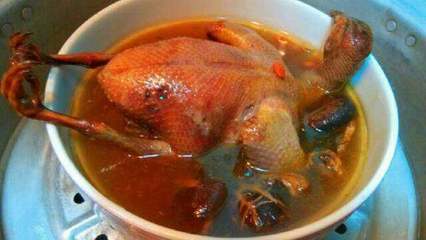 鸽子汤的功效与作用,鸽子汤的功效与作用多久吃一次