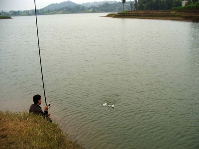 怎样钓鱼才能使鱼肯上钩,怎么钓鱼更容易上钩