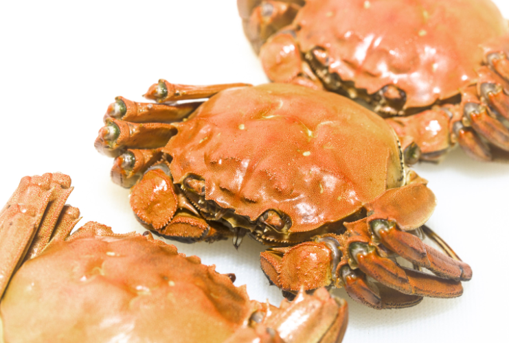 螃蟹不能吃的部位图解,螃蟹不能吃的4个部位 你知道是哪些吗
