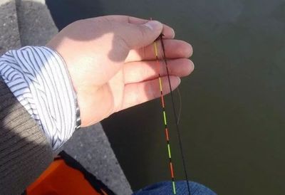 钓鱼的技巧非常多,钓鱼的技巧非常多怎么形容