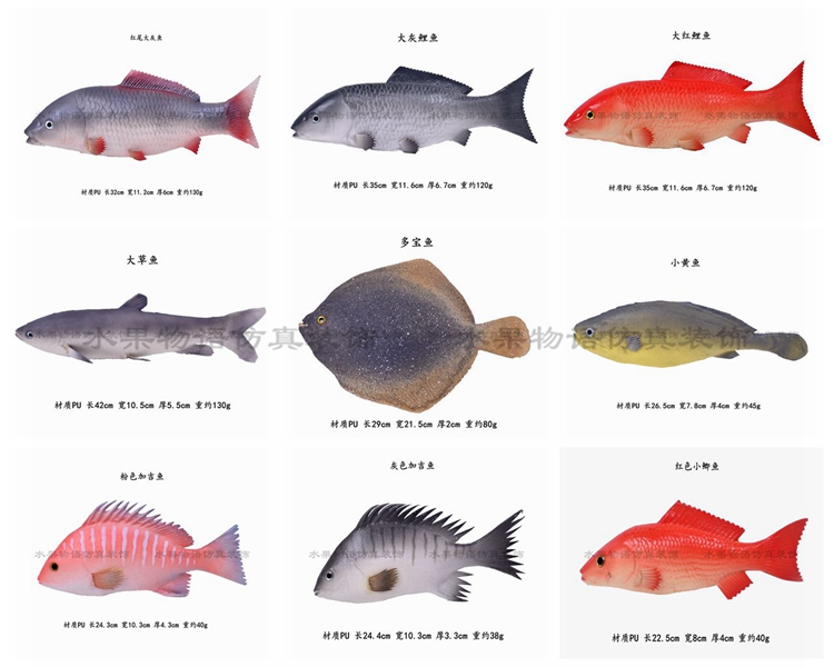 多宝鱼是海鱼还是淡水鱼,多宝鱼是海鱼还是淡水鱼甲亢
