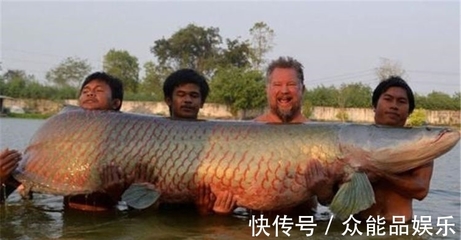 中国最凶猛的淡水鱼排名,中国最凶猛的淡水鱼排名榜